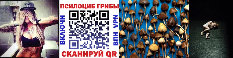 Псилоцибиновые грибы Psilocybe  купить наркоту  Первомайск 